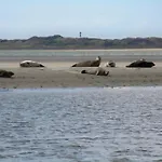 Prázdninový dům Reithuus Schonerweg Norddeich (Norden)
