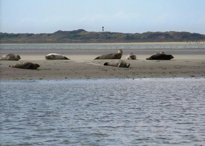 Prázdninový dům Reithuus Schonerweg Norddeich (Norden)